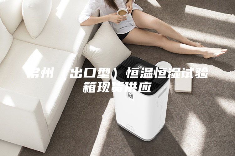 常州（出口型）恒温恒湿试验箱现货供应