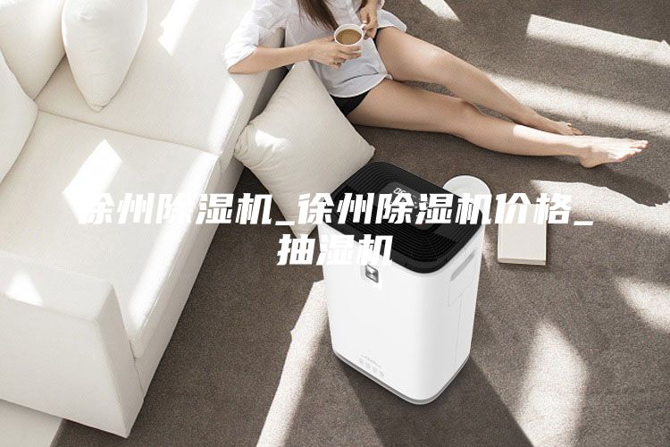 徐州除湿机_徐州除湿机价格_抽湿机