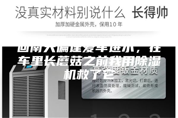回南天偏逢爱车进水，在车里长蘑菇之前我用除湿机救了它