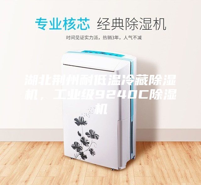 湖北荆州耐低温冷藏除湿机，工业级9240C除湿机