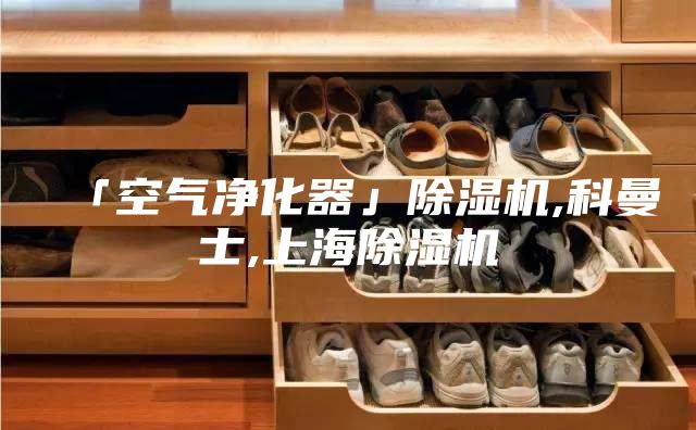 「空气净化器」除湿机,科曼士,上海除湿机