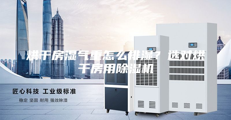 烘干房湿气重怎么排湿？选对烘干房用除湿机