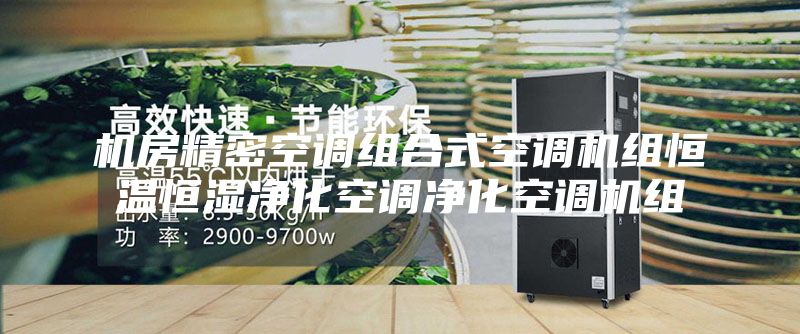 机房精密空调组合式空调机组恒温恒湿净化空调净化空调机组