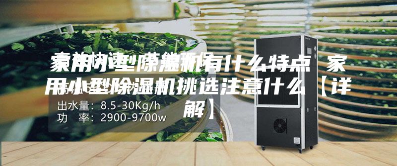 家用小型除湿机有什么特点 家用小型除湿机挑选注意什么【详解】