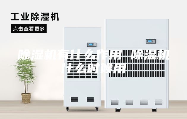 除湿机有什么作用 除湿机什么时候用