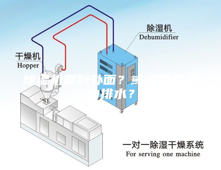 除湿机漏到外面？或远处的室内排水？