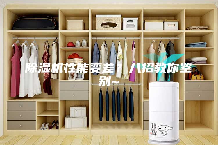 除湿机性能变差？八招教你鉴别~