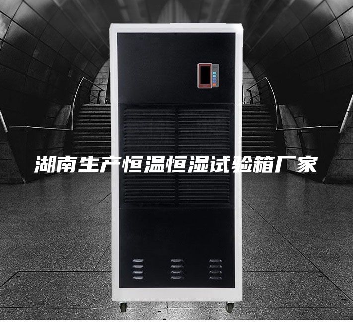 湖南生产恒温恒湿试验箱厂家
