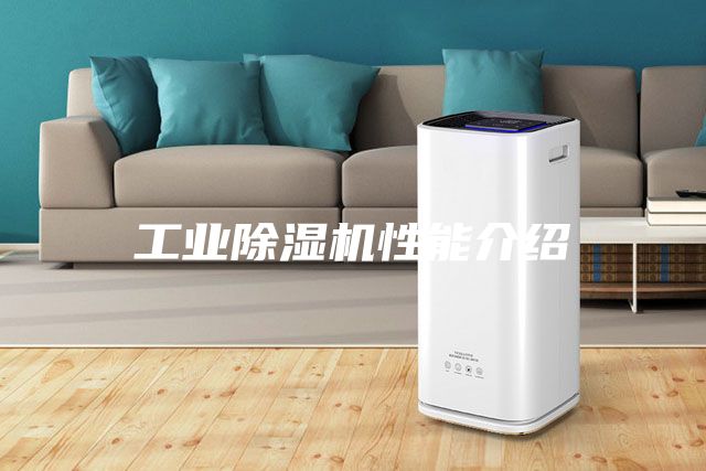 工业除湿机性能介绍