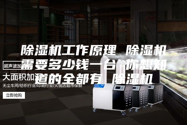 除湿机工作原理 除湿机需要多少钱一台 你想知道的全都有 除湿机