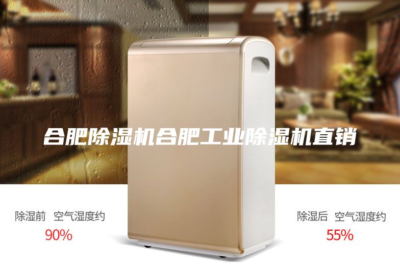 合肥除湿机合肥工业除湿机直销