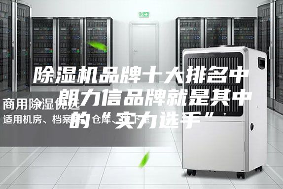 除湿机品牌十大排名中，朗力信品牌就是其中的“实力选手”