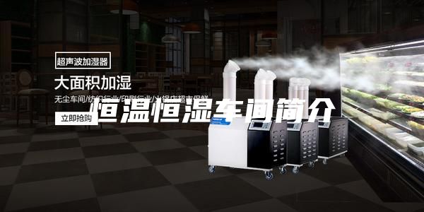 恒温恒湿车间简介