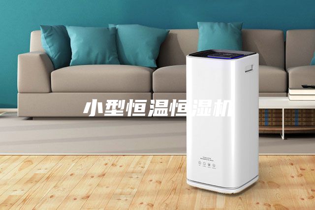 小型恒温恒湿机