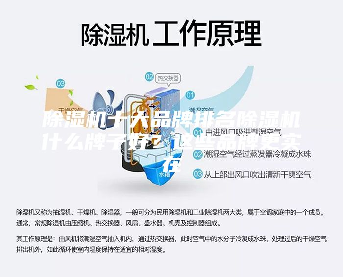 除湿机十大品牌排名除湿机什么牌子好？这些品牌更实在