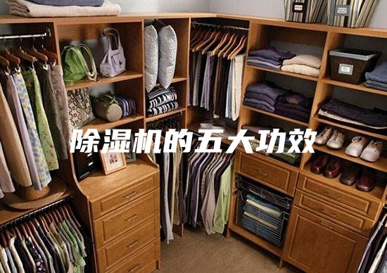除湿机的五大功效