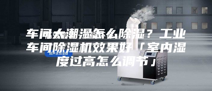 车间太潮湿怎么除湿？工业车间除湿机效果好「室内湿度过高怎么调节」