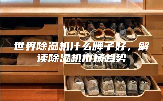 世界除湿机什么牌子好，解读除湿机市场趋势