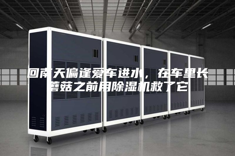 回南天偏逢爱车进水，在车里长蘑菇之前用除湿机救了它