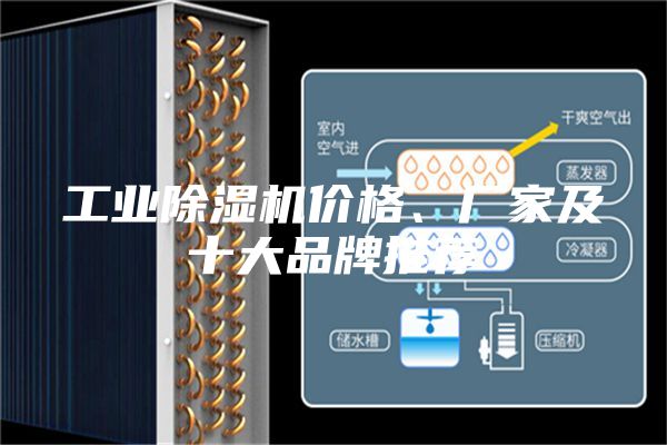 工业除湿机价格、厂家及十大品牌推荐