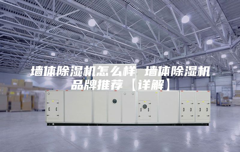 墙体除湿机怎么样 墙体除湿机品牌推荐【详解】