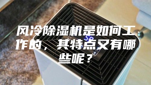 风冷除湿机是如何工作的，其特点又有哪些呢？