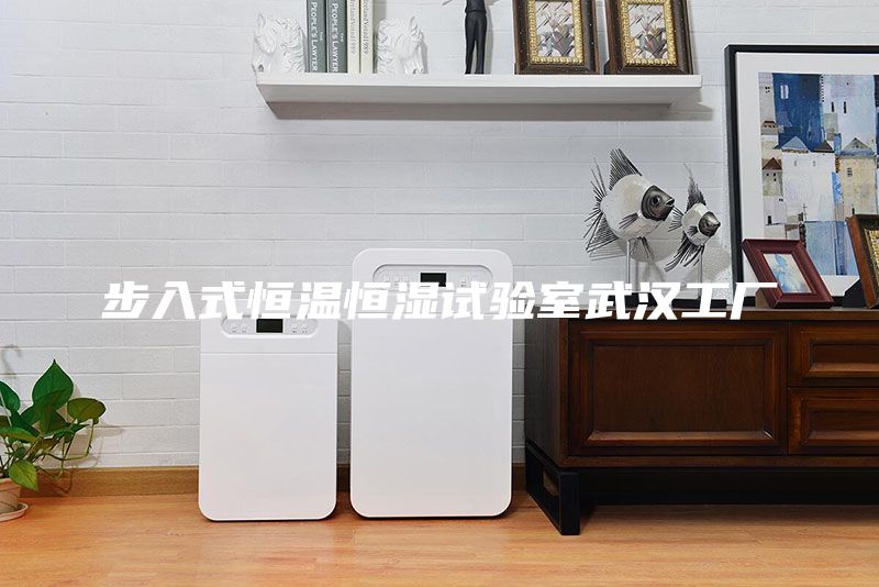 步入式恒温恒湿试验室武汉工厂