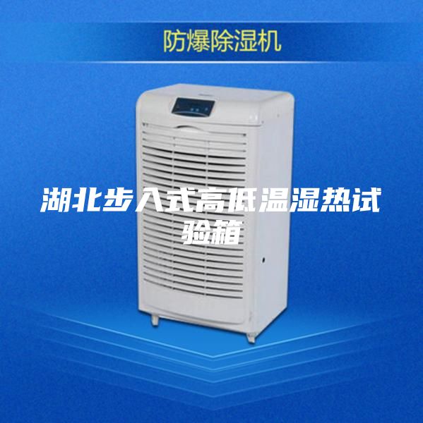 湖北步入式高低温湿热试验箱