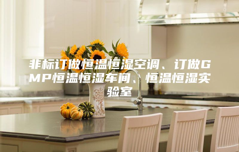 非标订做恒温恒湿空调、订做GMP恒温恒湿车间、恒温恒湿实验室