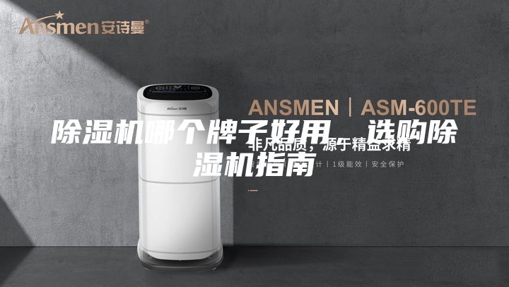 除湿机哪个牌子好用，选购除湿机指南