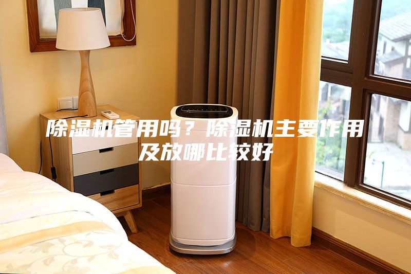 除湿机管用吗？除湿机主要作用及放哪比较好