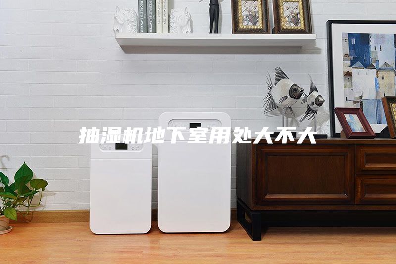 抽湿机地下室用处大不大
