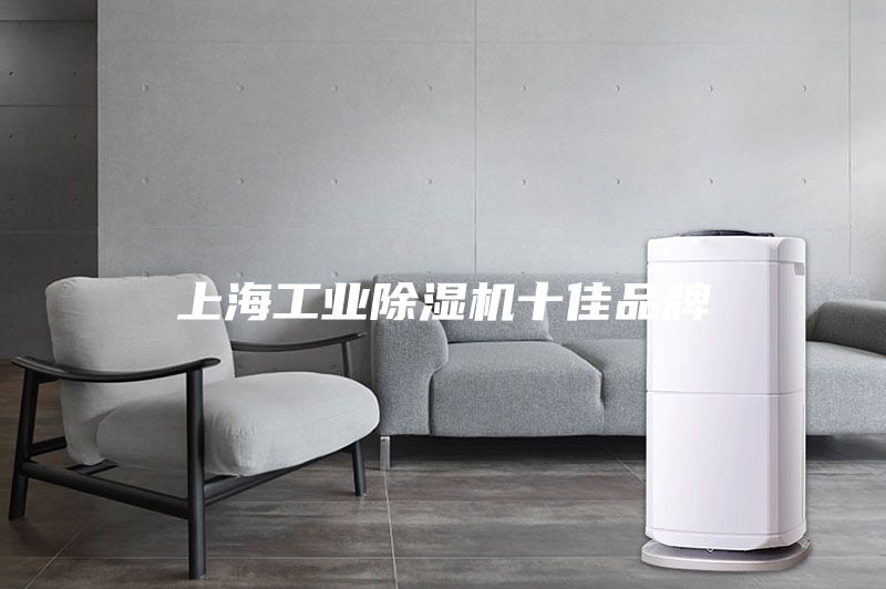 上海工业除湿机十佳品牌