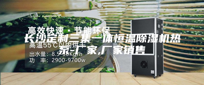 长沙定制三集一体恒温除湿机热泵-厂家,厂家销售