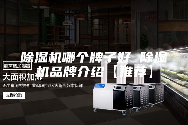 除湿机哪个牌子好 除湿机品牌介绍【推荐】