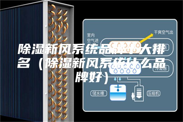除湿新风系统品牌十大排名（除湿新风系统什么品牌好）