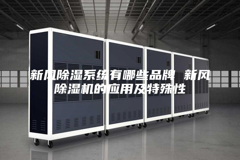 新风除湿系统有哪些品牌 新风除湿机的应用及特殊性