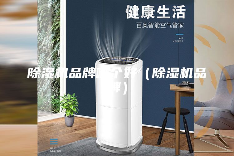 除湿机品牌哪个好（除湿机品牌）