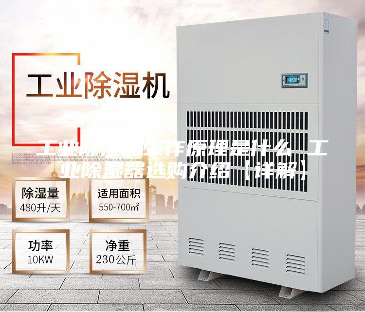 工业除湿器工作原理是什么 工业除湿器选购介绍【详解】