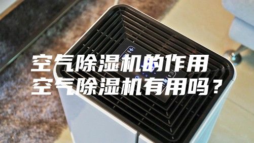 空气除湿机的作用 空气除湿机有用吗？