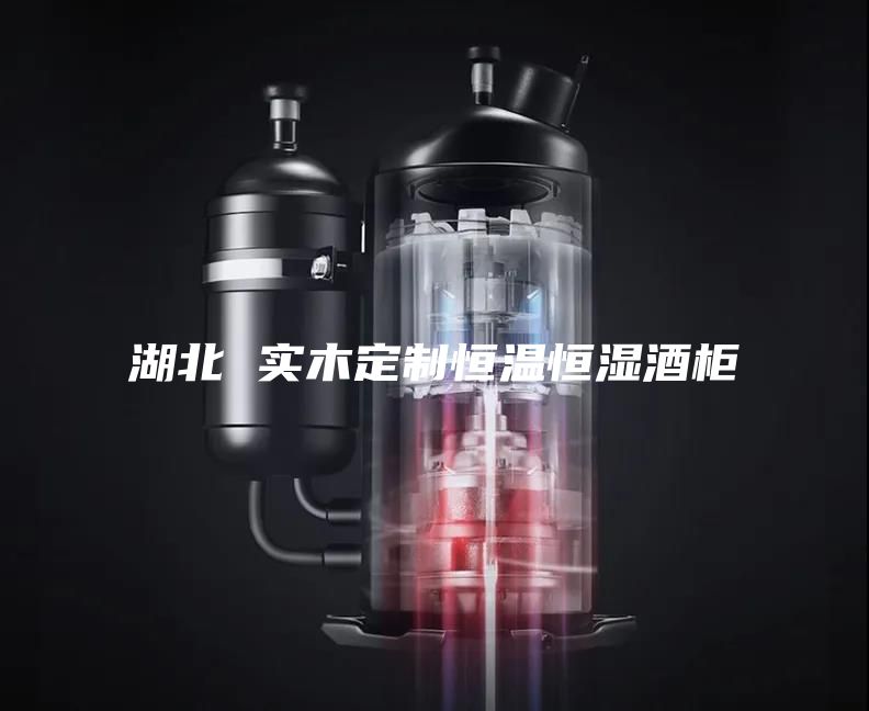 湖北 实木定制恒温恒湿酒柜