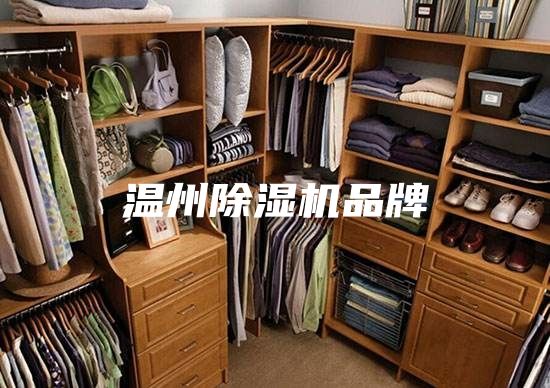 温州除湿机品牌
