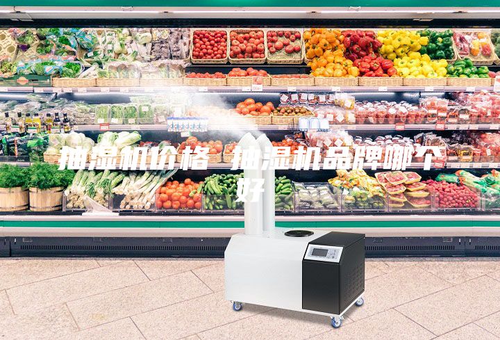 抽湿机价格 抽湿机品牌哪个好