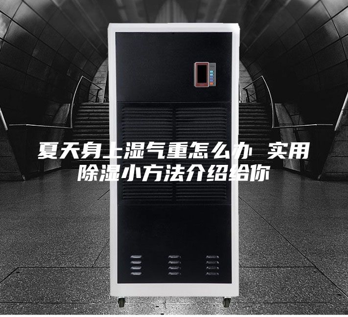 夏天身上湿气重怎么办 实用除湿小方法介绍给你