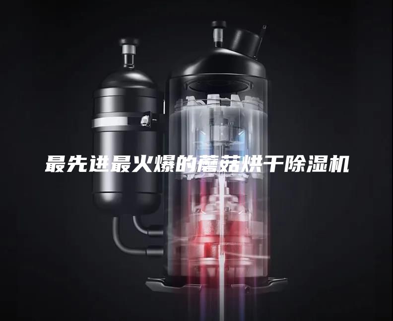 最先进最火爆的蘑菇烘干除湿机