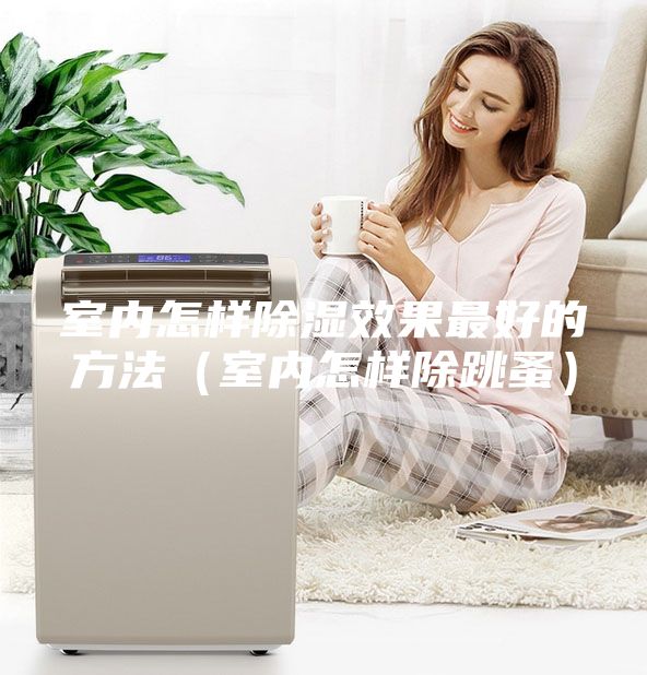 室内怎样除湿效果最好的方法（室内怎样除跳蚤）