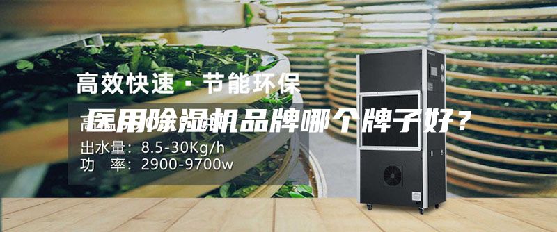 医用除湿机品牌哪个牌子好？