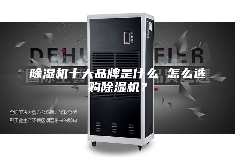 除湿机十大品牌是什么 怎么选购除湿机？