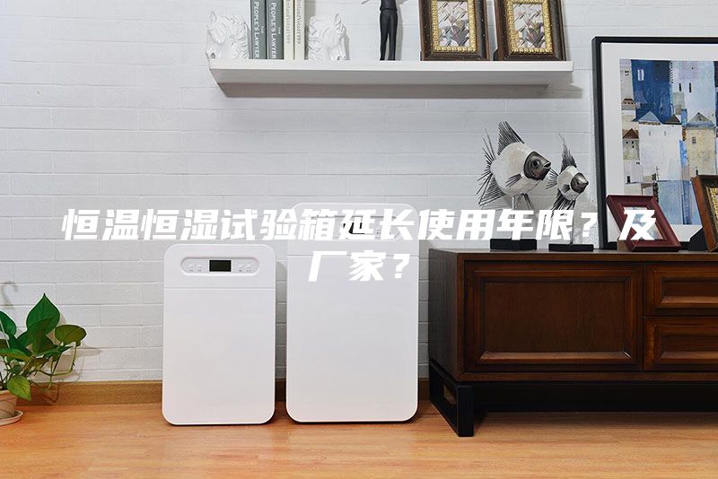 恒温恒湿试验箱延长使用年限？及厂家？