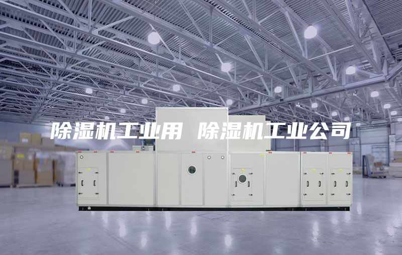 除湿机工业用 除湿机工业公司